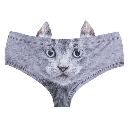 'Cat' 3D Hipster Panties With Little Ears