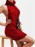Virgin Killer Sweater Dress