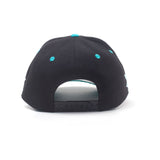 RICK AND MORTY Embroidered Get Schwifty Curved Bill Cap, Black/Turquoise (BA005235RMT)