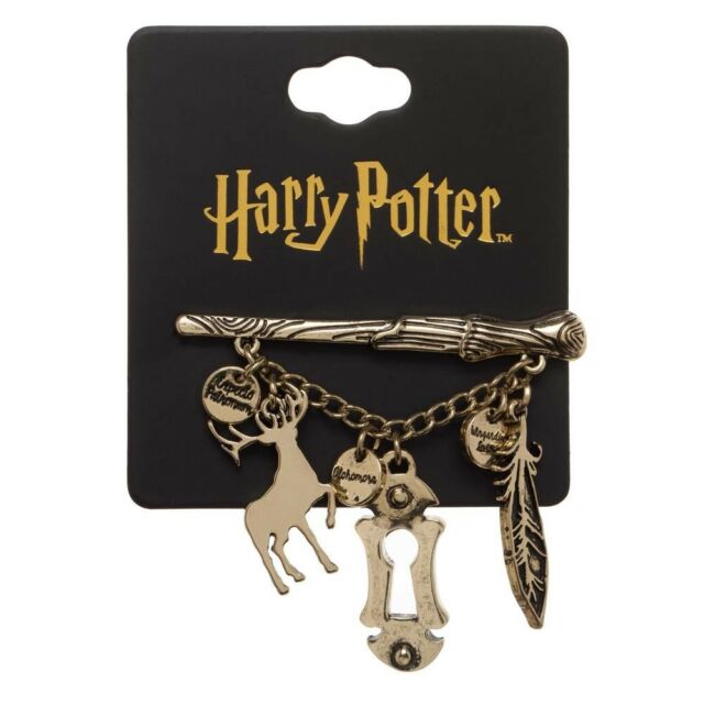Harry Potter - Ahomora Charmed Lapel Pin